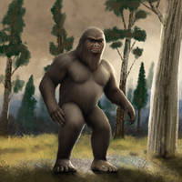 Sasquatch (Bigfoot)