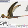 Pterorhynchus