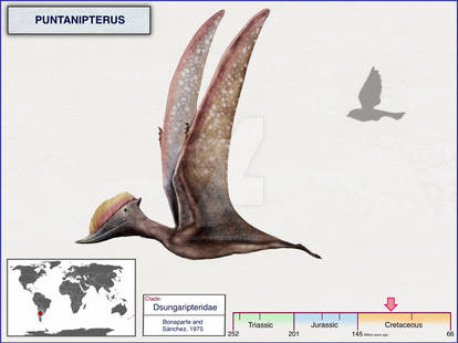 Pterosaurs of the Phosphates - Phosphatodraco by CJCroen on DeviantArt