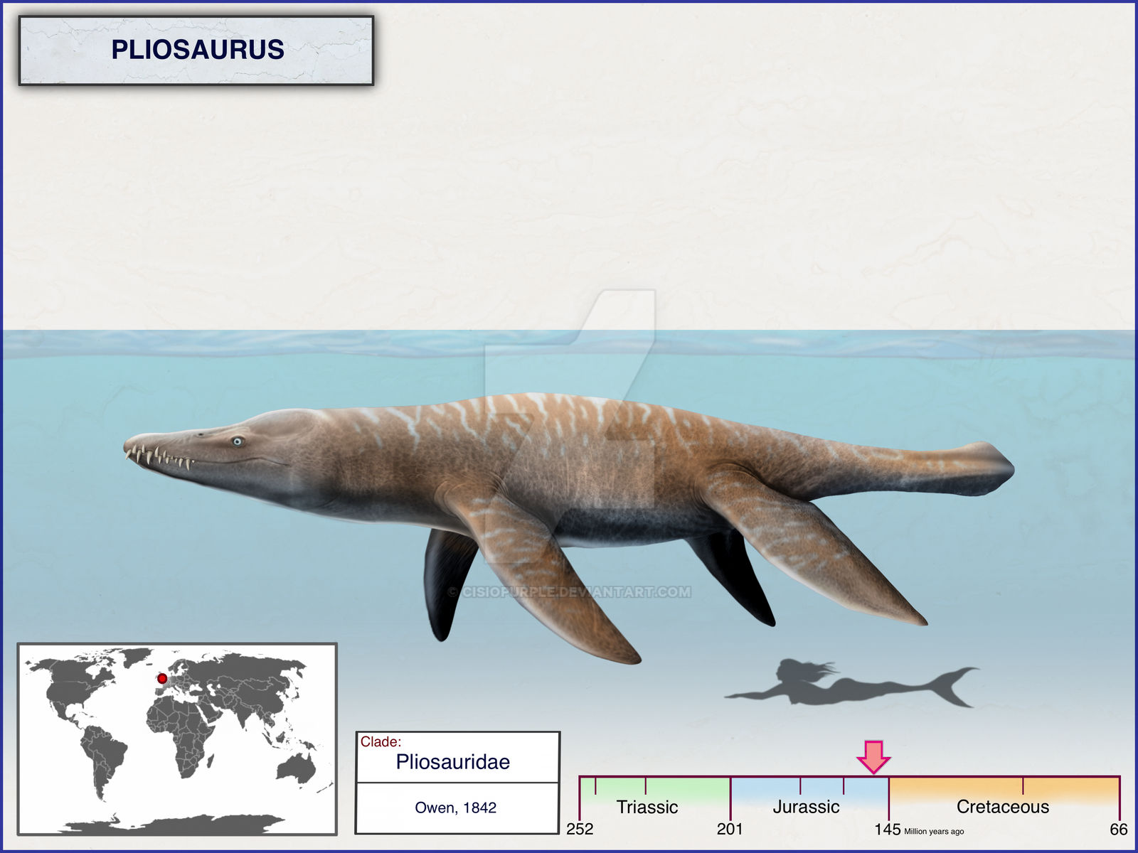 Pliosaurus Types Pliosaurus by cisiopurple on DeviantArt