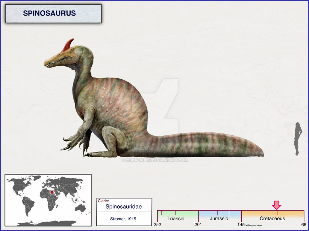 Spinosaurus by cisiopurple on DeviantArt