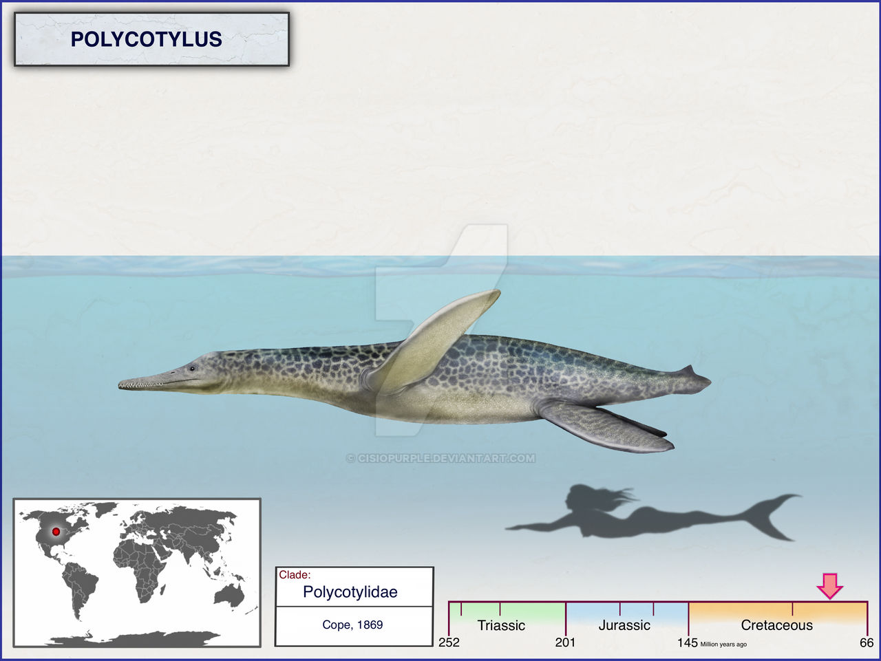 Polycotyus Polycotylus by cisiopurple on DeviantArt