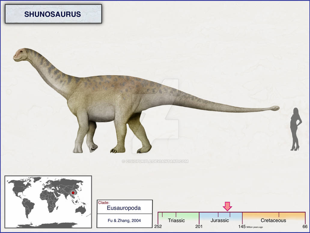 Hungasaurus Shunosaurus by cisiopurple on DeviantArt