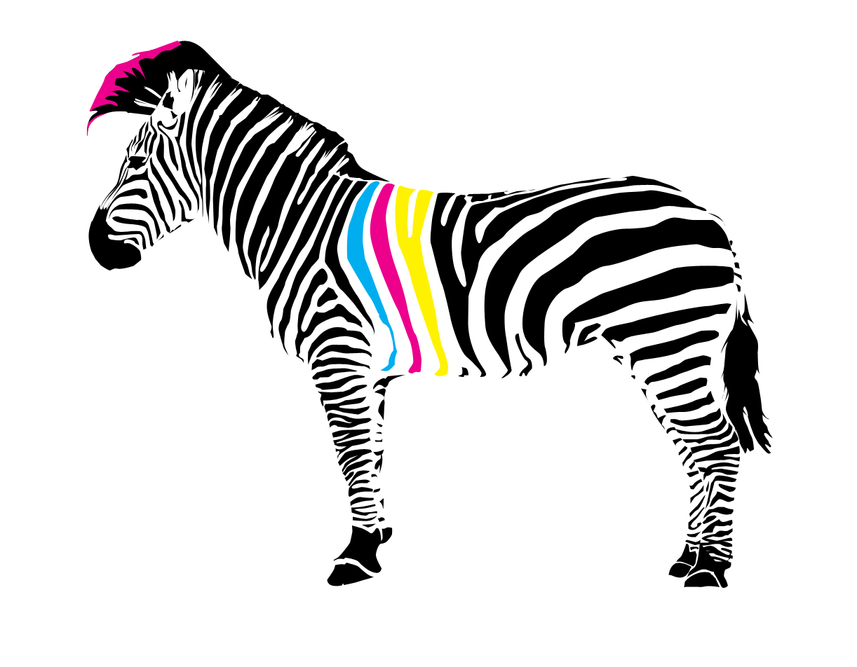 CMYK Zebra Shirt