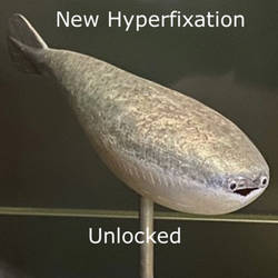 New Hyperfixation