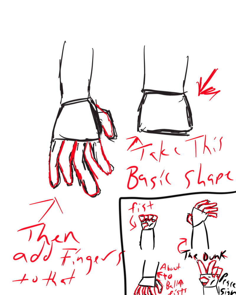 basic hand tutorial by MrChunky on DeviantArt