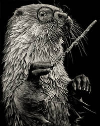 Harry Otter by rainyXskyz