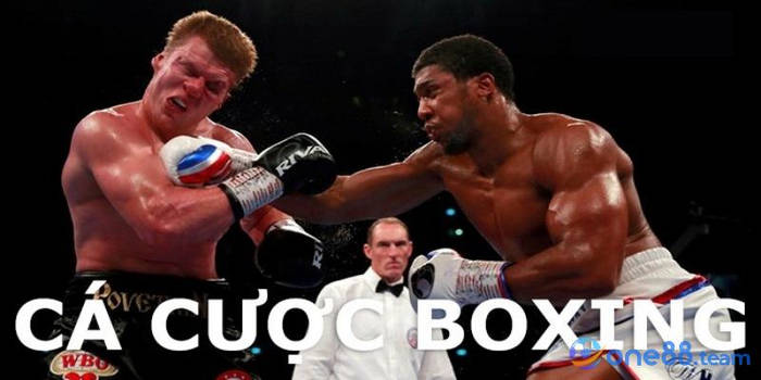 Gioi-thieu-ca-cuoc-boxing