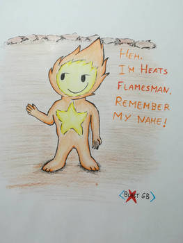 Remember my name - Heats Flamesman 