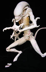 Alien warrior maquette by David Field.