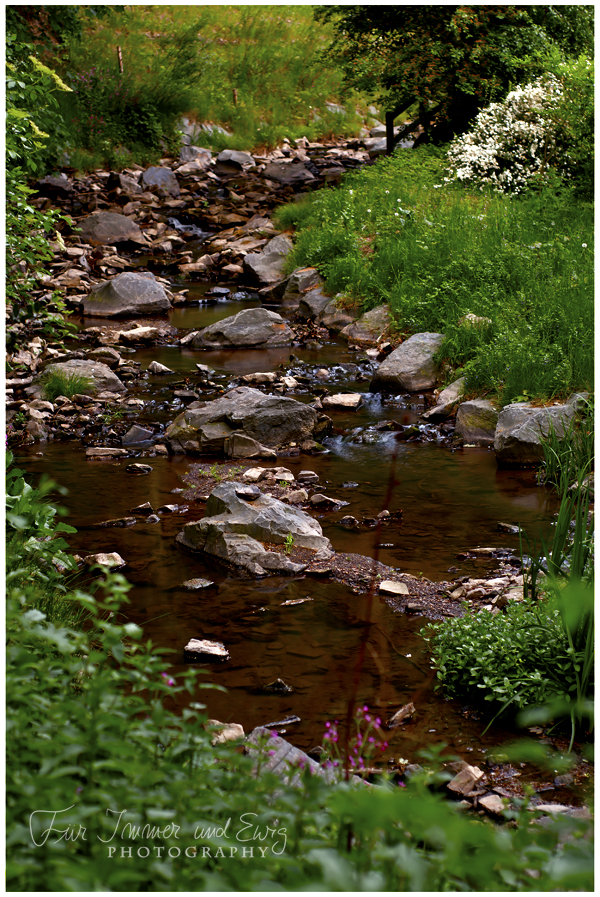 Waters of Summer