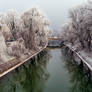 My hometown river