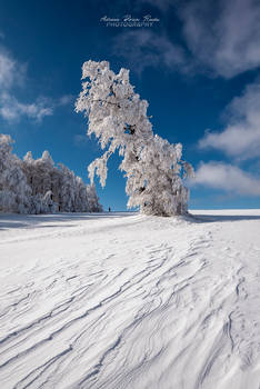 A wonderful winter day