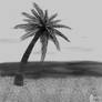 Palm Tree Sketch