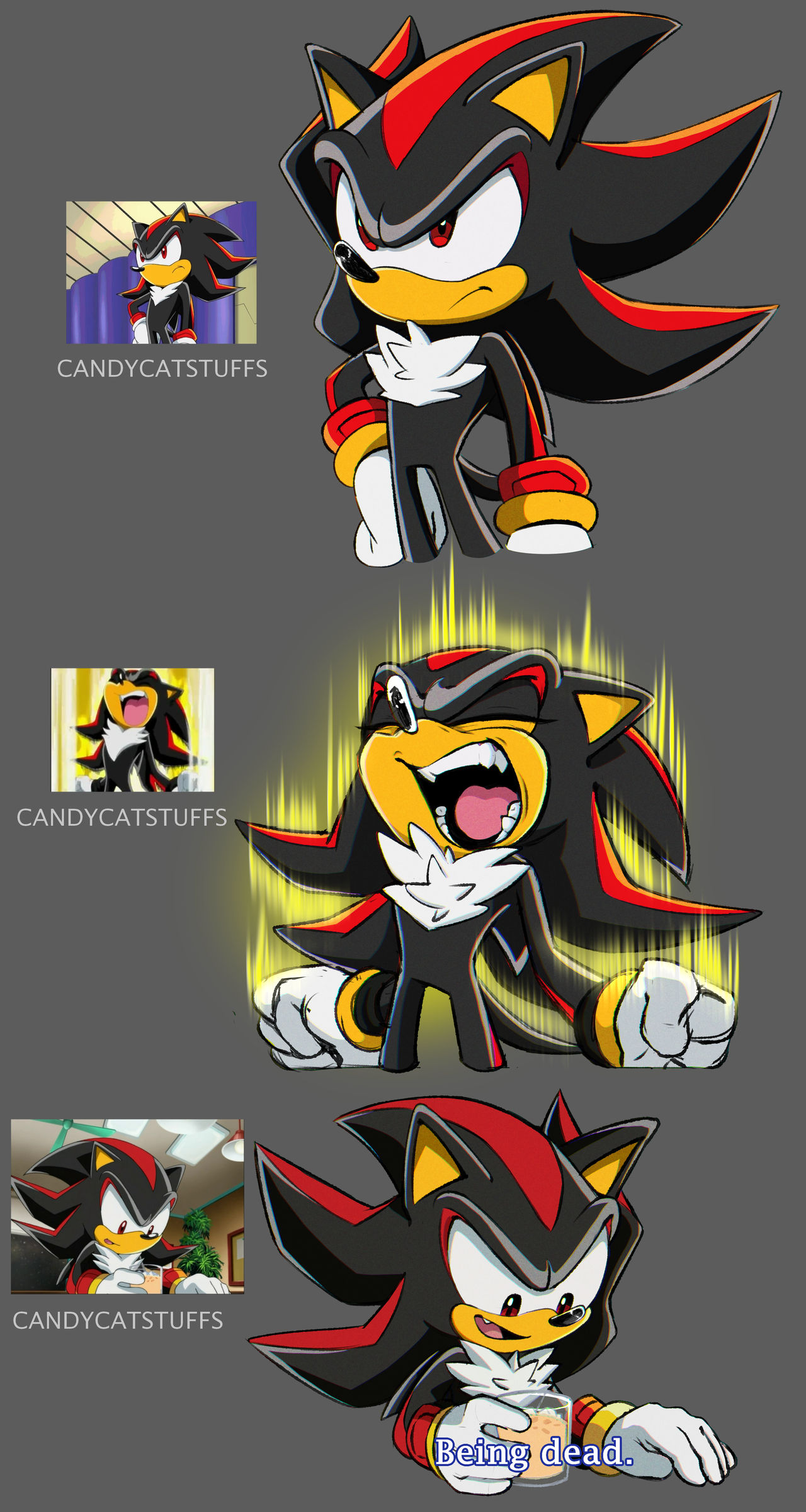 Sonic X Screencaps on Twitter  Shadow the hedgehog, Sonic, Sonic and shadow