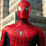 Matz I Love Spider-Man and My Favourite Superheroe