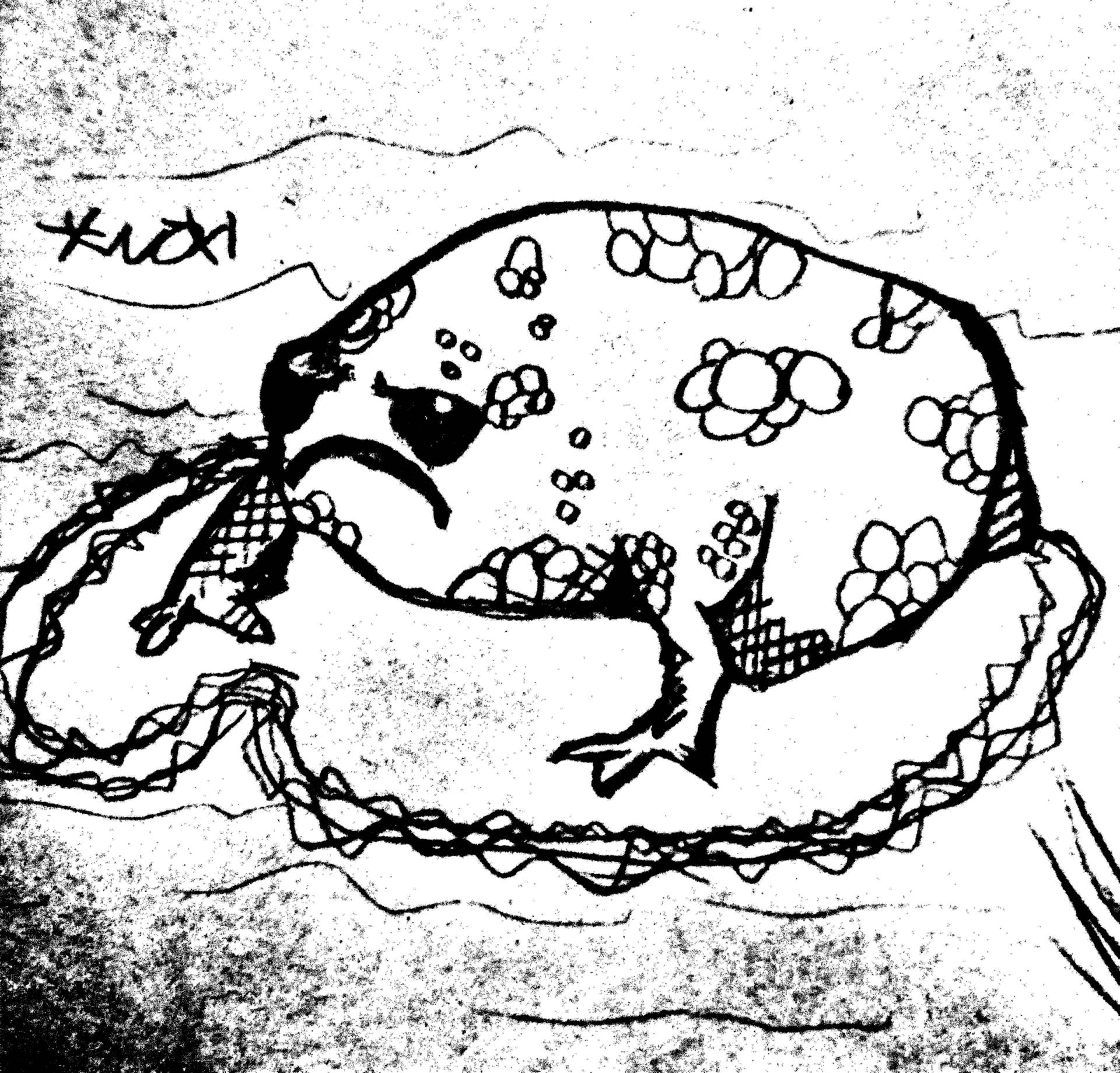 Lewd Froggo: The Complete Guide For Beginners. - zr8fr5r