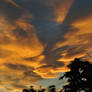 Projection on the cloud field