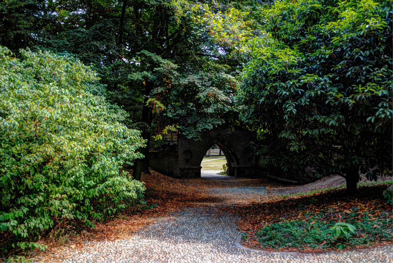 Parco di Monza August