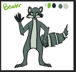 Raccoon Desgin