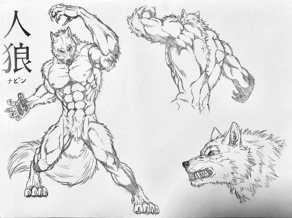 Werewolf: body position by Akatsuki-mo on DeviantArt