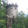 forest tower I