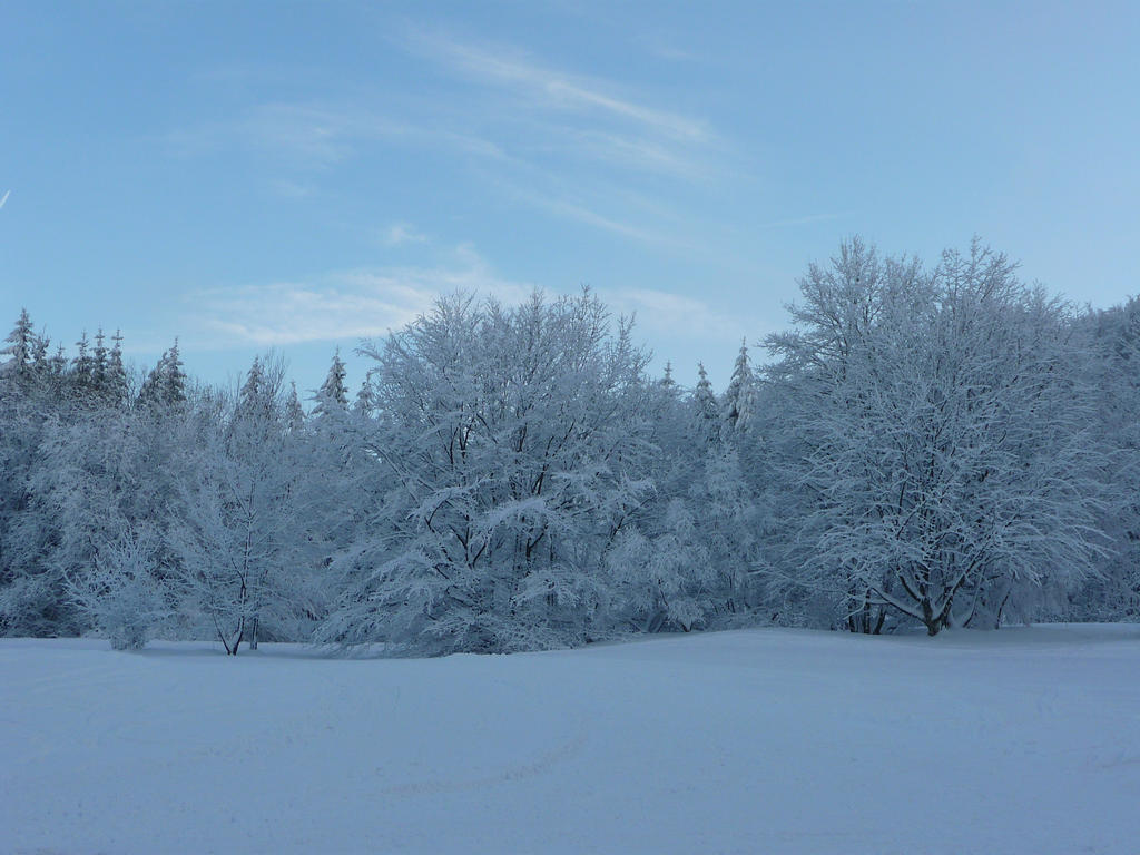 even more trees