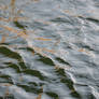 Texture LXXXIII