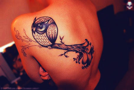 Owl Tattoo