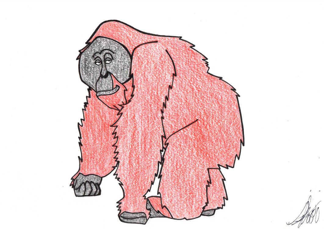 Bornean Orangutan by zebG on DeviantArt Bornean Orangutan by zebG on DeviantArt