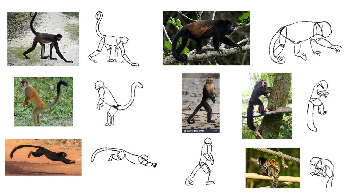 Primate Test Tutorial: New World by zebG on DeviantArt