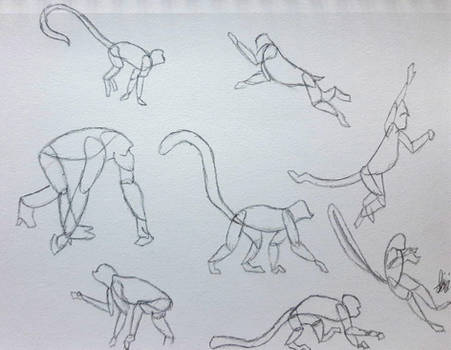 Primates Deviantart Base Explore the Best Primateanatomy Art | DeviantArt