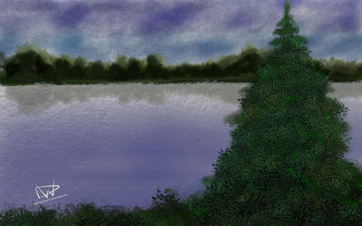 Spruce on a Lake