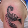 scorpion tattoo