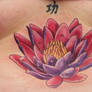 lotus flower 2