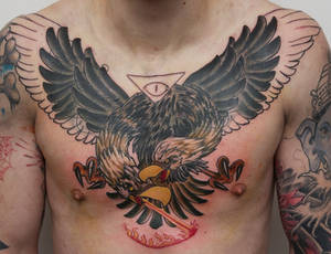 cover up monster eagle