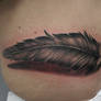 feather tattoo...