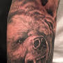 a bear tattoo