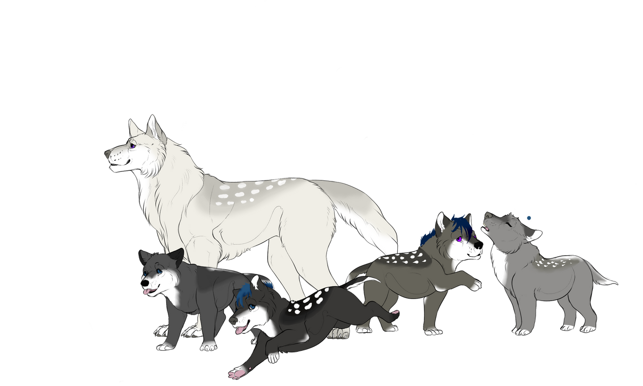 Orca Pack- Open by ThunderLordess on DeviantArt