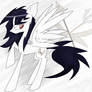 : . : kObI : . : Pegasus : .