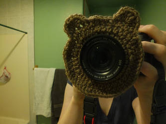 Bear Camera Buddy