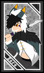 Character Card: Zero Drakeor by ElrokFoxx