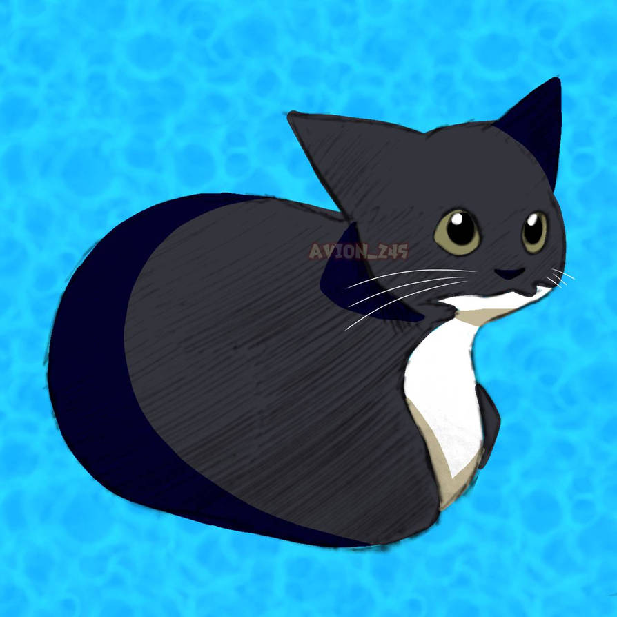 Maxwell the cat by Avion245 on DeviantArt