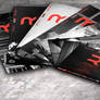 Graphics Design - Instytut Rave Identity