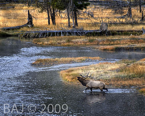 Firehole Morning