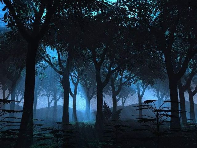 Forest by starskq