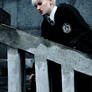 Draco - 'Harry Potter'..