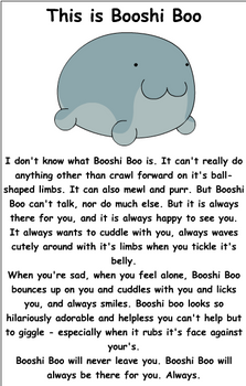 This is Booshi Boo