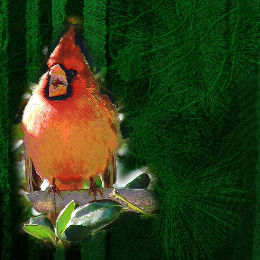 Red Bird Singing By Digipho333 Studio On DeviantArt