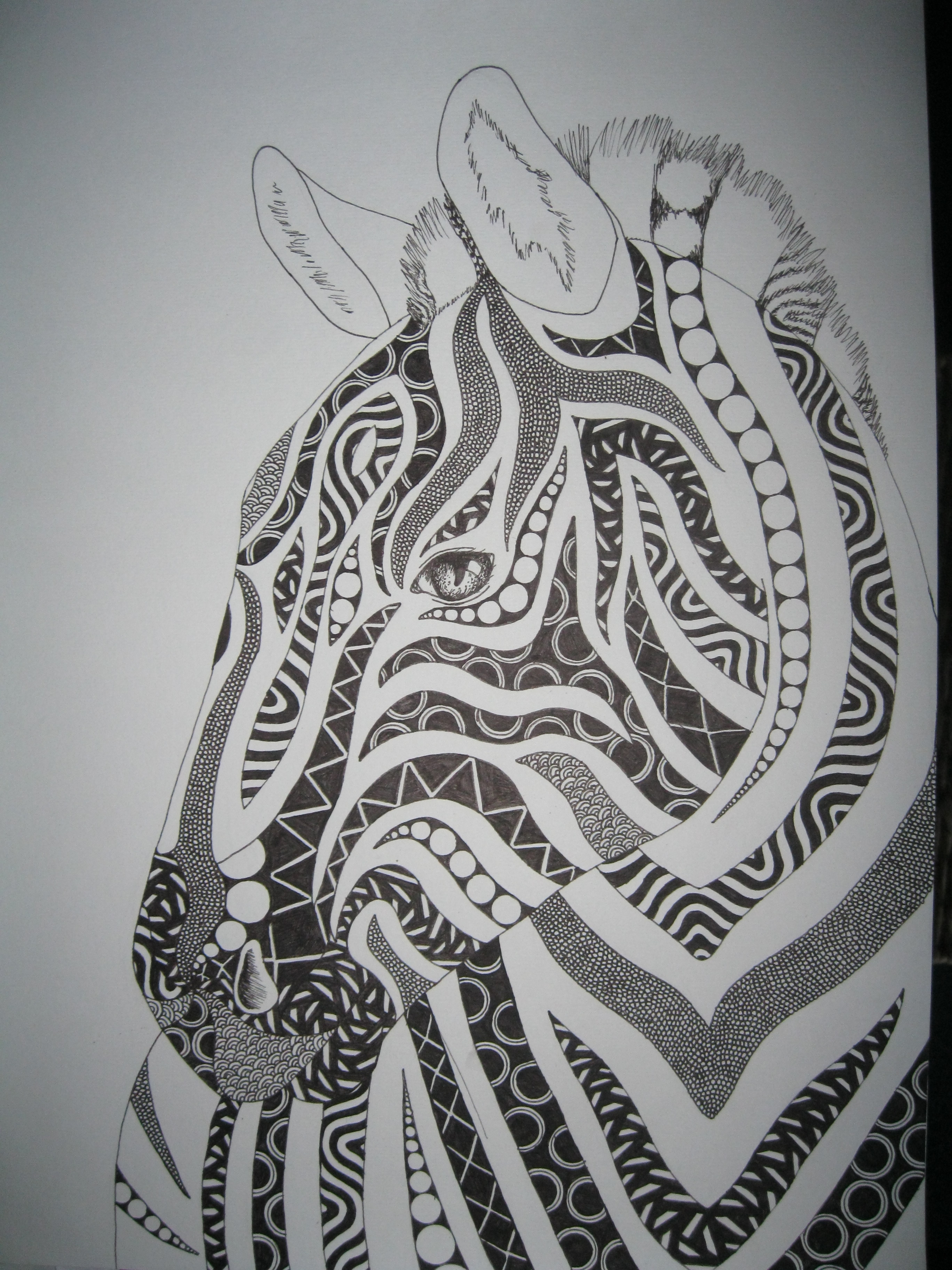 Zebra fineline doodle art